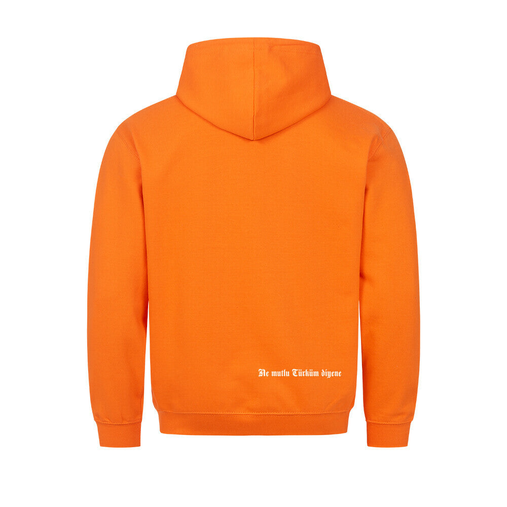 Image for color: orange